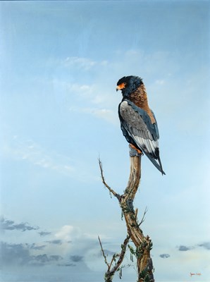 Lot 64 - Spencer Hodge