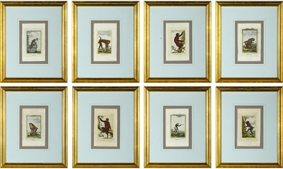 Lot 69 - After Georges-Louis Leclerc, Comte de Buffon (1707-1788)