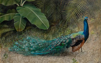 Lot 18 - Arthur Oliver Biehl