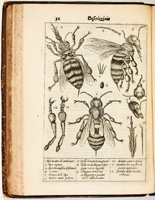 Lot 27 - The first book to contain microscopic illustrations, written by a friend of Galileo