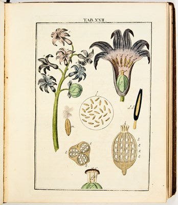 Lot 45 - 100 superb color plates after Ledermüller