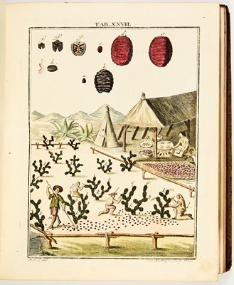 Lot 45 - 100 superb color plates after Ledermüller