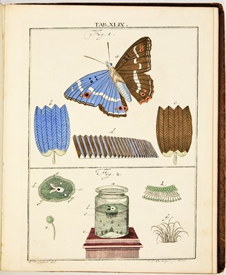 Lot 45 - 100 superb color plates after Ledermüller