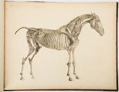 Lot 93 - George Stubbs on the anatomy of the horse
