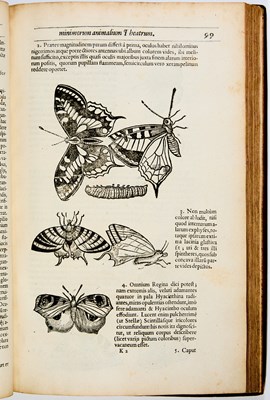 Lot 29 - The first English book on entomology