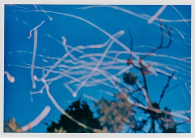 Lot 181 - Gerhard Richter (b. 1932)