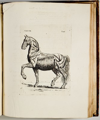 Lot 81 - The first edition of Gibson on the horse