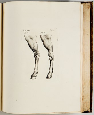 Lot 81 - The first edition of Gibson on the horse