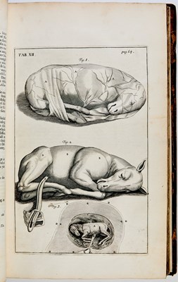 Lot 90 - The first English book on the anatomy of the horse