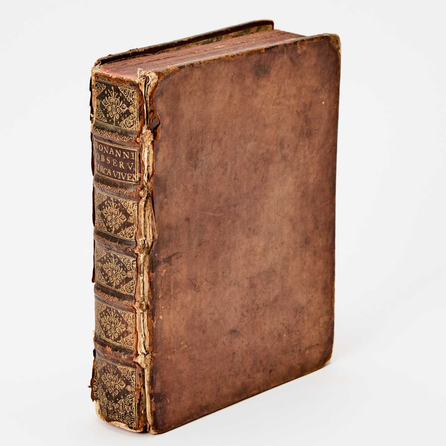 Lot 37 - An important early work on microscopy by a pupil of Kircher