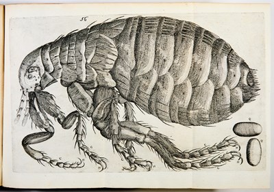 Lot 37 - An important early work on microscopy by a pupil of Kircher