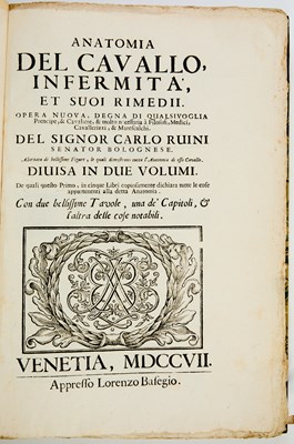 Lot 87 - An important anatomy of the horse