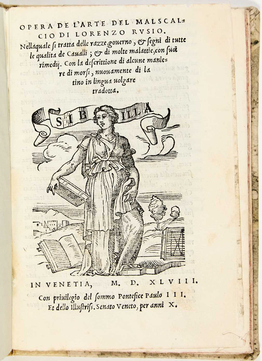 Lot 89 - A rare early veterinarian manual for horses