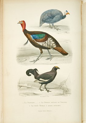 Lot 66 - Buffon's works with fine hand-colored plates