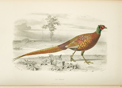 Lot 66 - Buffon's works with fine hand-colored plates