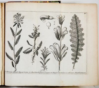 Lot 54 - The first English edition of Linnaeus on Lapland's botany