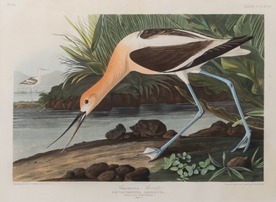 Lot 7 - After John James Audubon (1785-1851)