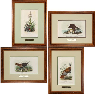 Lot 84 - After John James Audubon (1785-1851)