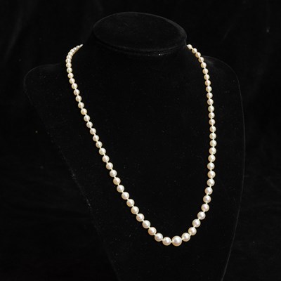 Lot 326 - Graduated Culture Pearl Necklace
