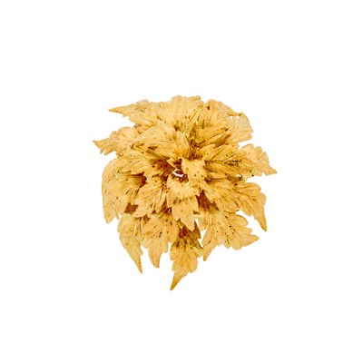 Lot 2222 - Gold Fern Brooch