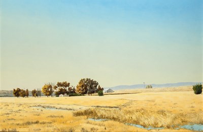 Lot 132 - Walt Johnson