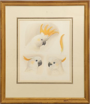 Lot 124 - Cockatoos