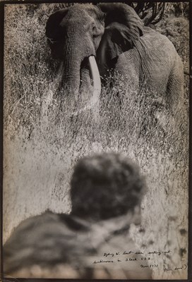 Lot 9 - Peter Beard, Sydney W. last seen sorting-out herbivores in Block 53B, 1971