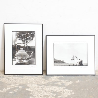 Lot 226 - Linda McCarthy : Two