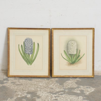 Lot 259 - Pair of Floral Studies