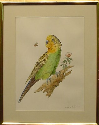 Lot 19 - Alfred de Cabrol b.1918 PARROT Signed and...