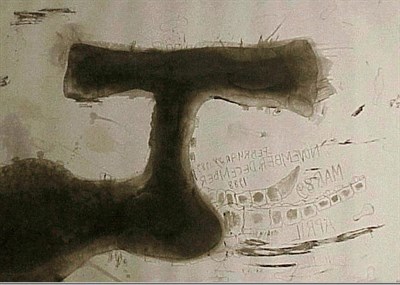 Lot 172 - Carol Dunham UNTITLED Etching and aquatint...