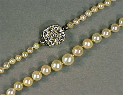 Lot 260 - Cultured Pearl Necklace The single strand...