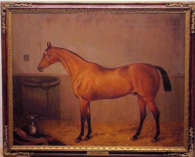 Lot 136 - Edward Tolley British, 19th century HORSE...