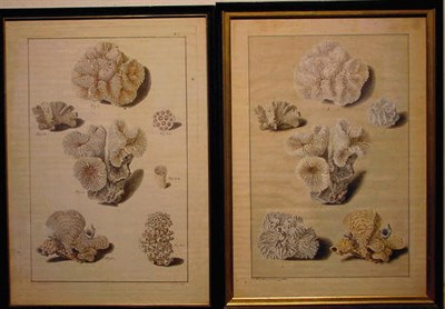 Lot 27 - B.A. Moll German, 19th century STUDIES OF...