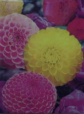 Lot 37 - Peter Dayton (i) UNTITLED Signed Peter Dayton...