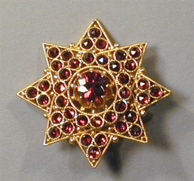 Lot 68 - Garnet Star Pin 14 kt. yellow gold.