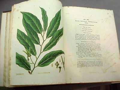Lot 312 - CURTIS, WILLIAM Curtis's Botanical Magazine;...