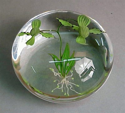 Lot 126 - Paul Stankard Paphiopedilum Orchid Paperweight...