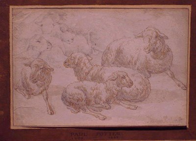 Lot 1 - Paulus Potter Dutch, 1625 - 1654 SHEEP Signed...