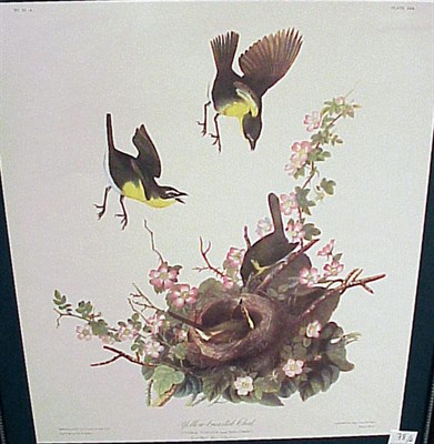 Lot 78 - After John James Audubon COMMON CROSSBILL and...