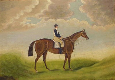 Lot 50 - James Shore Derby 19th Century BLUEBONNET - ST....