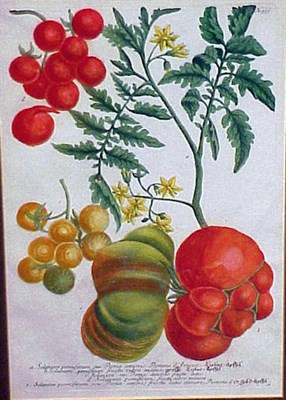 Lot 57 - German School 19th Century [FRUIT] Three...