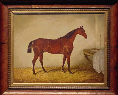 Lot 263 - John Duvall British, 19th century HORSE IN...