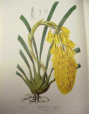 Lot 330 - LINDLEY, JOHN Sertum Orchidaceum 49 color...