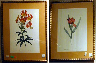 Lot 9 - After Pierre Joseph Redoute [FLOWERS] Eight...