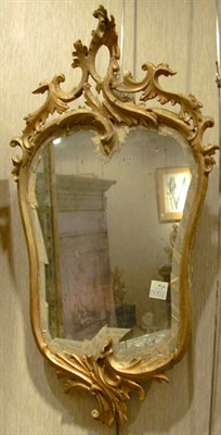 Lot 20 - Pair of Continental Rococo Gilt-Wood Mirrors...