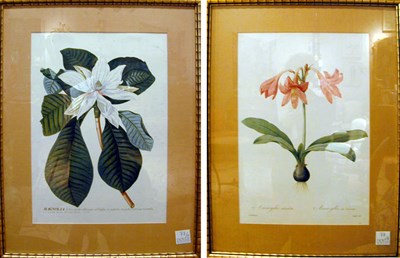 Lot 77 - After Pierre Joseph Redoute [FLOWERS] Seven...