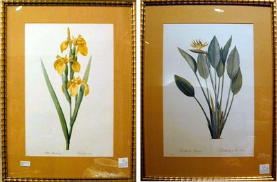 Lot 65 - After Pierre Joseph Redoute [FLOWERS] Seven...
