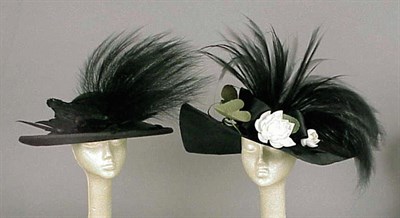 Lot 1292 - Two William J. Black Straw Feathered Picture...