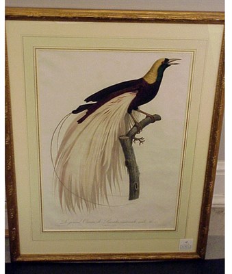 Lot 87 - After Jacques Barraband LE GRAND OISEAU DE...